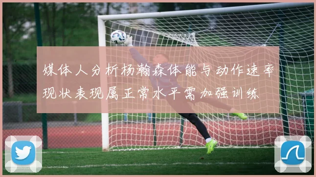 媒体人分析杨瀚森体能与动作速率现状表现属正常水平需加强训练