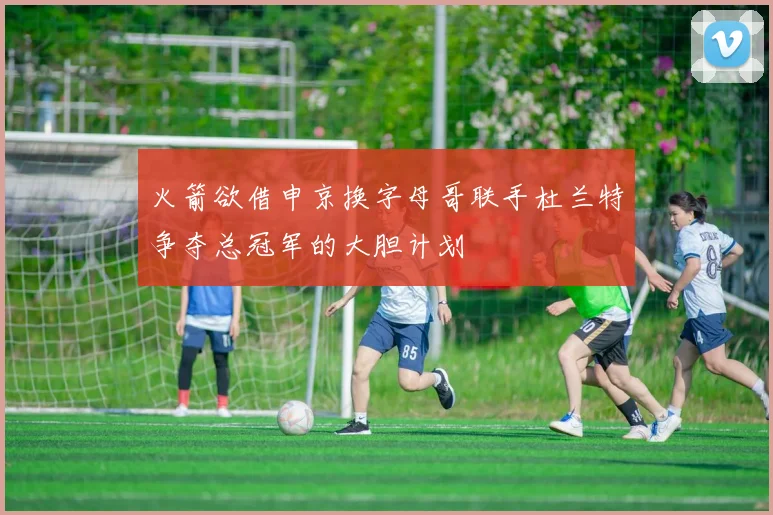 火箭欲借申京换字母哥联手杜兰特争夺总冠军的大胆计划