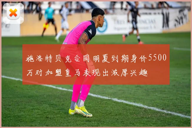施洛特贝克合同明夏到期身价5500万对加盟皇马表现出浓厚兴趣