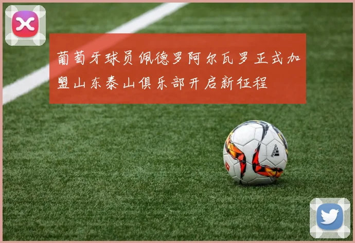 葡萄牙球员佩德罗阿尔瓦罗正式加盟山东泰山俱乐部开启新征程